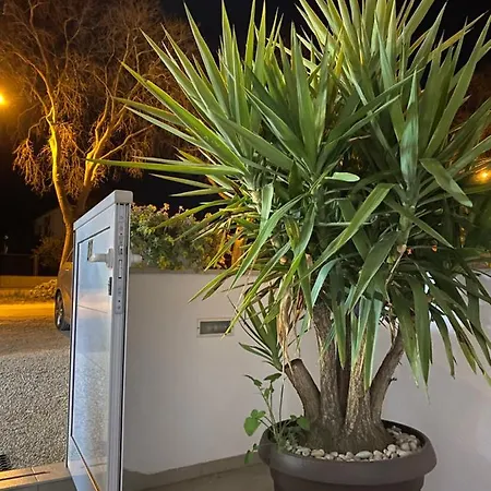 Studio Mare Zadar Exterior photo